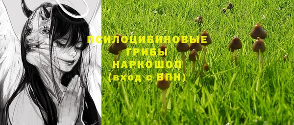 ПСИЛОЦИБИНОВЫЕ ГРИБЫ Балахна