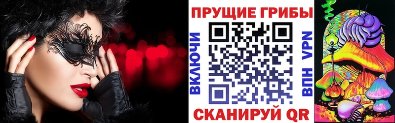закладка  Видное  Псилоцибиновые грибы прущие грибы 